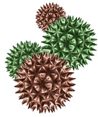 virusi